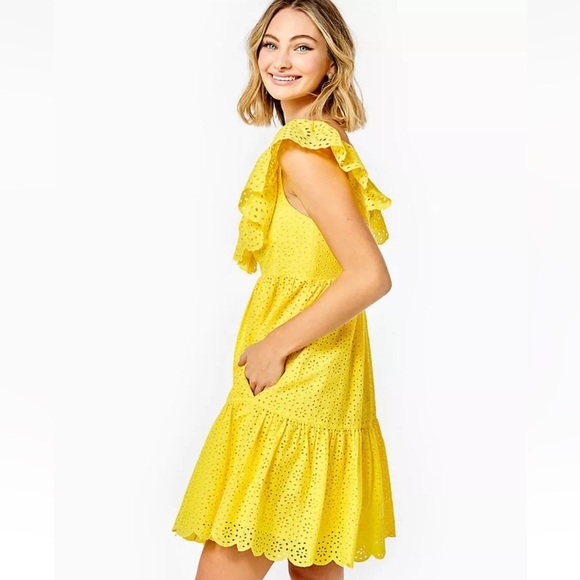 Lilly Pulitzer Asteria Eyelet Babydoll Dress in Daisy Dreams NWT Size 2 - Picture 3 of 13